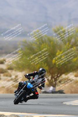 media/Apr-10-2022-SoCal Trackdays (Sun) [[f104b12566]]/Turn 5 Tree of Life (1040am)/